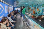 Porto Belo realiza Semana do Meio Ambiente com projeto de educao marinha